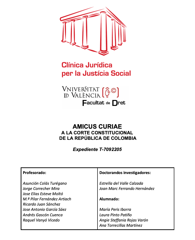 portada amicus curiae